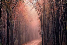 格拉纳达主场力克瓦拉多利德，豪取三分