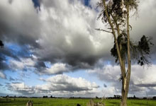 大阪球队晋级国际联赛半决赛