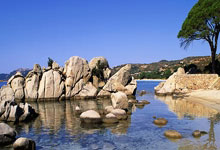 苏丹运动员勇夺金牌彰显实力